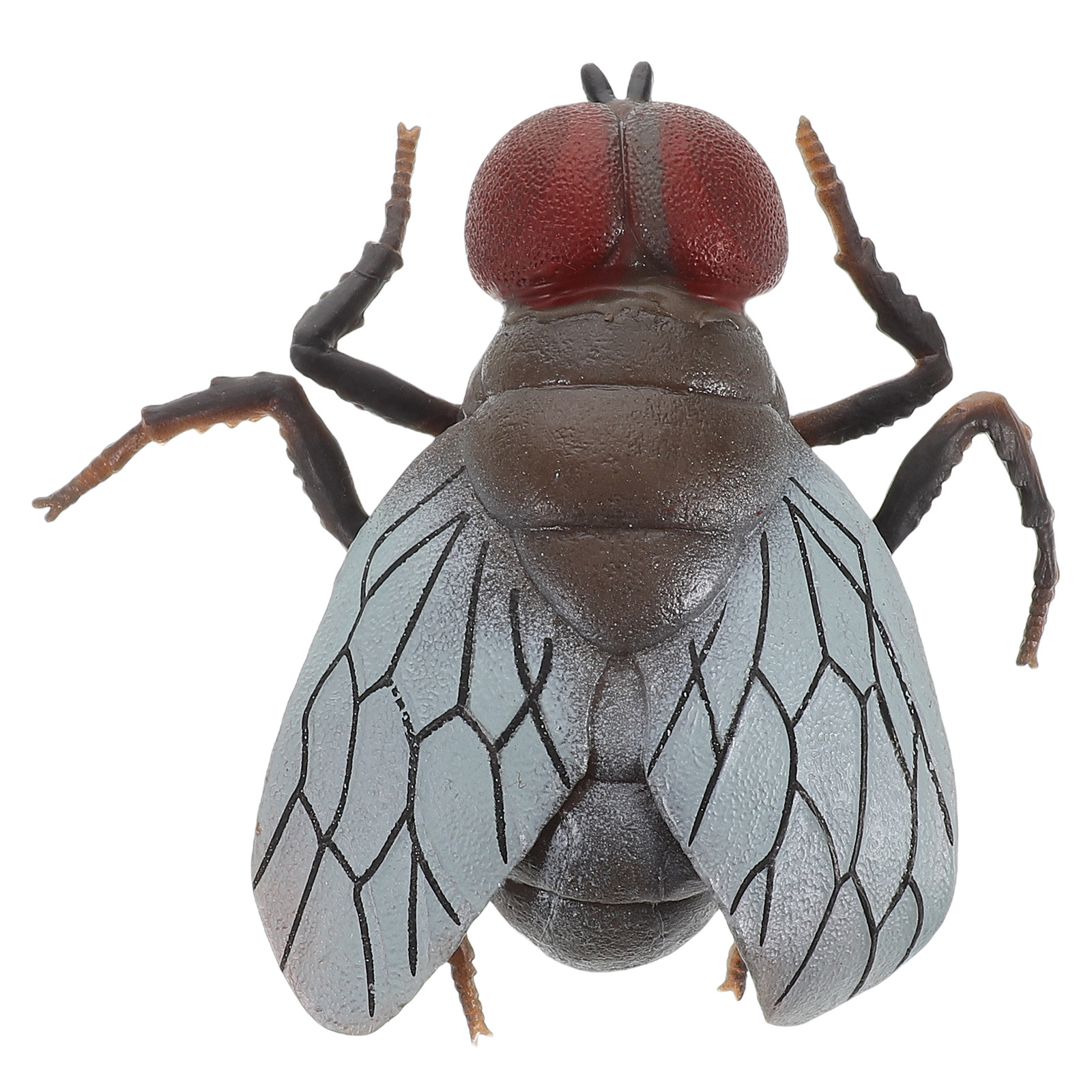Juguete de insecto realista pa - Prank Toys reseña y precio