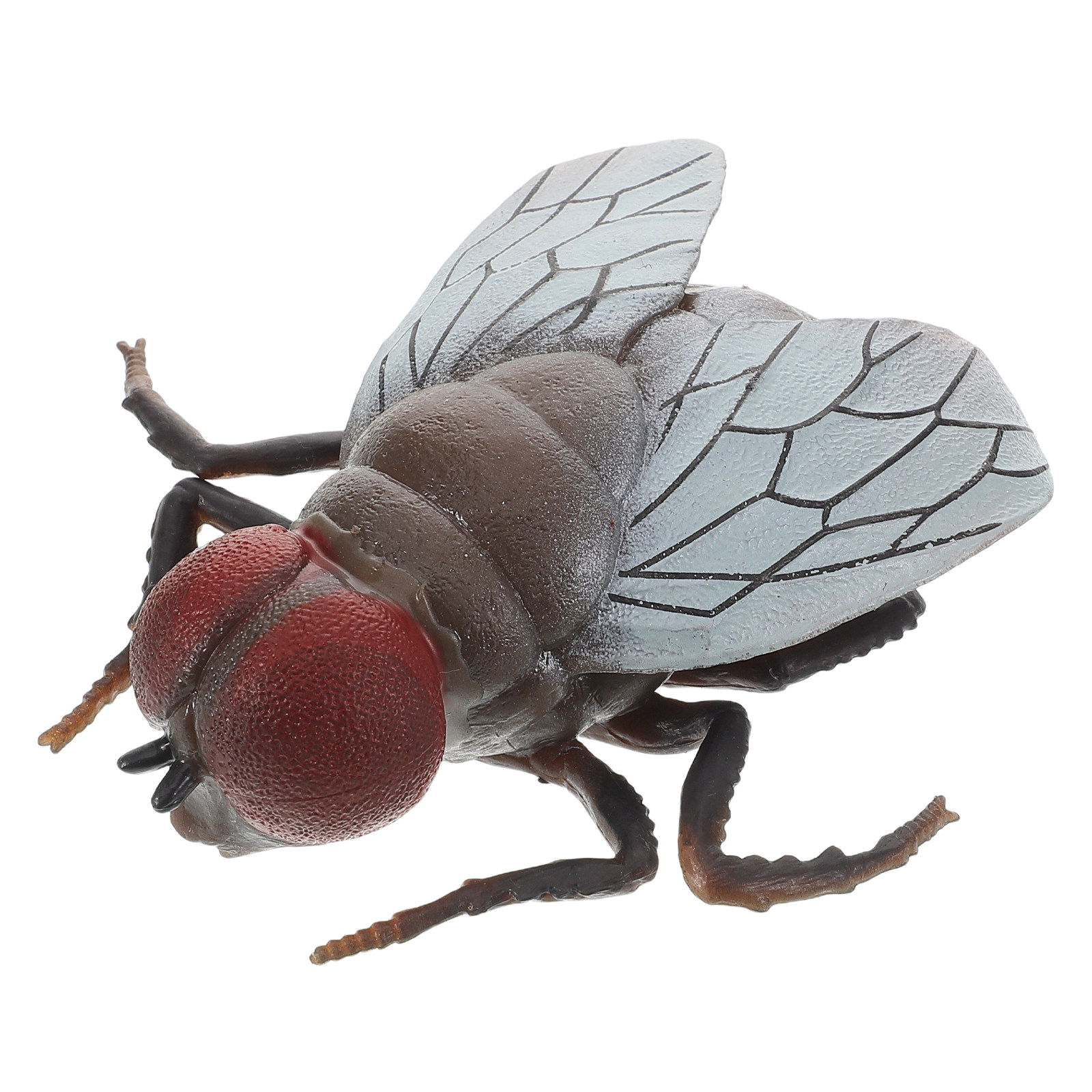 Juguete de insecto realista pa - Prank Toys reseña y precio